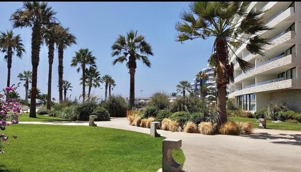 Departamento Jardin Del Mar